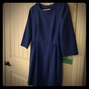 J. Crew Teddie Dress Size 4 Lowest Price!